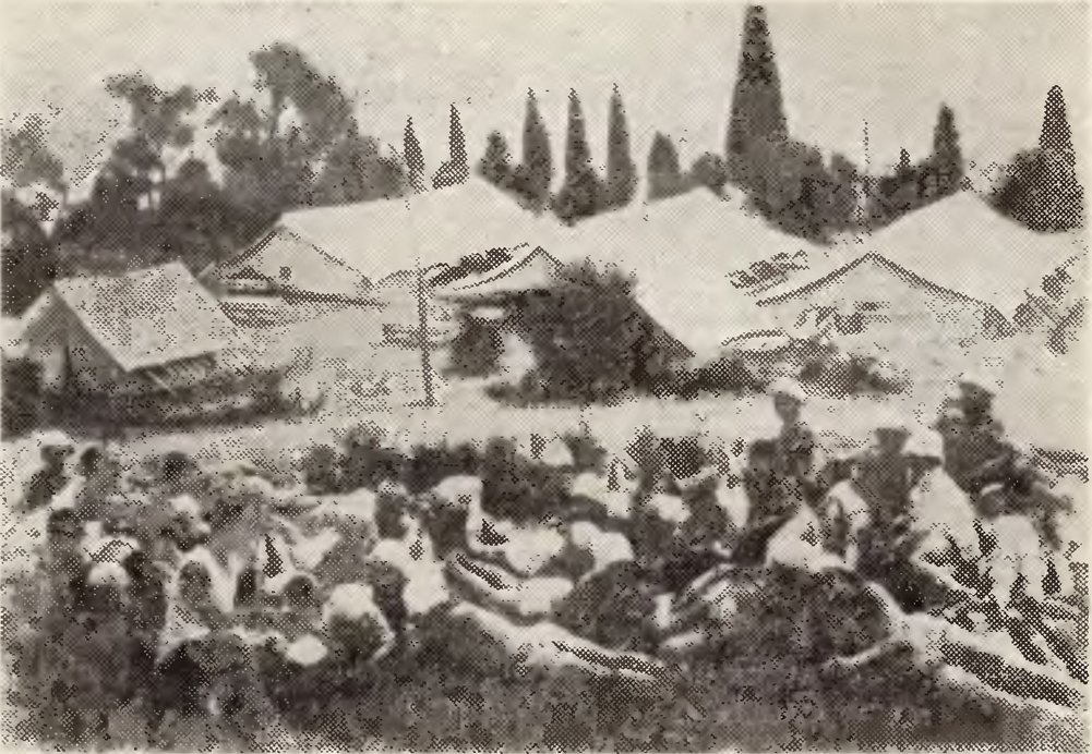 Лето 1925 года. В Нижний лагерь Артека приехала первые пионеры Лето 1925 года. В Нижний лагерь Артека приехала первые пионеры
