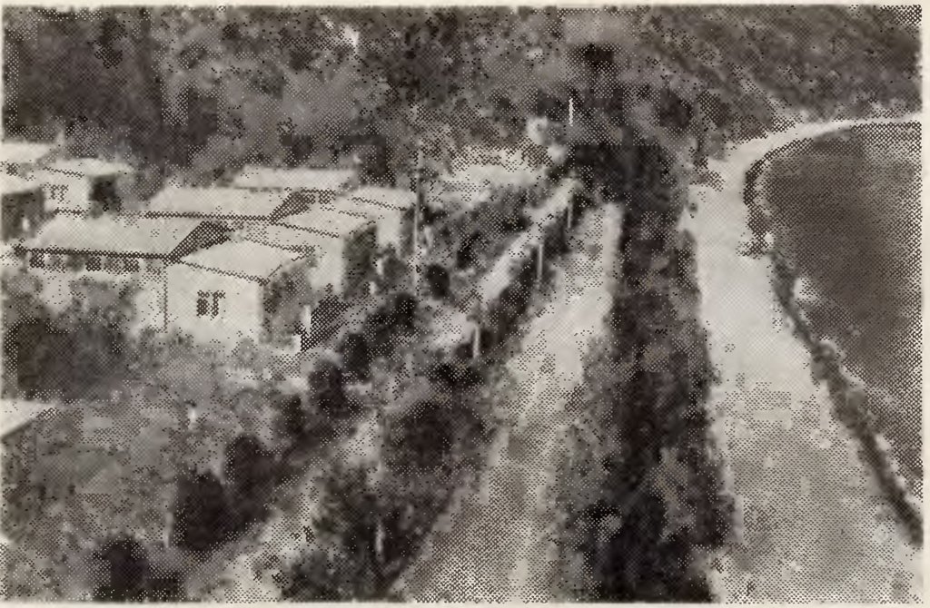 Нижний лагерь в 1928 году Нижний лагерь в 1928 году